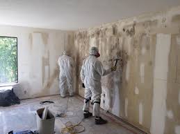 Best Dehumidification Services in Clay City, KY